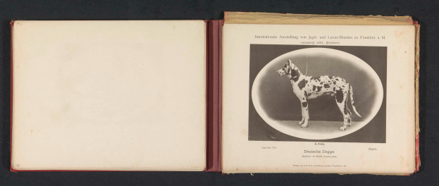 Ein aufgeschlagenes Buch mit dem Titel "Internationale Ausstellung von Jagd- und Luxus-Hunden zu Frankfurt a.M." und einem Schwarz-Weiß-Foto eines Hundes sowie begleitendem Text.
