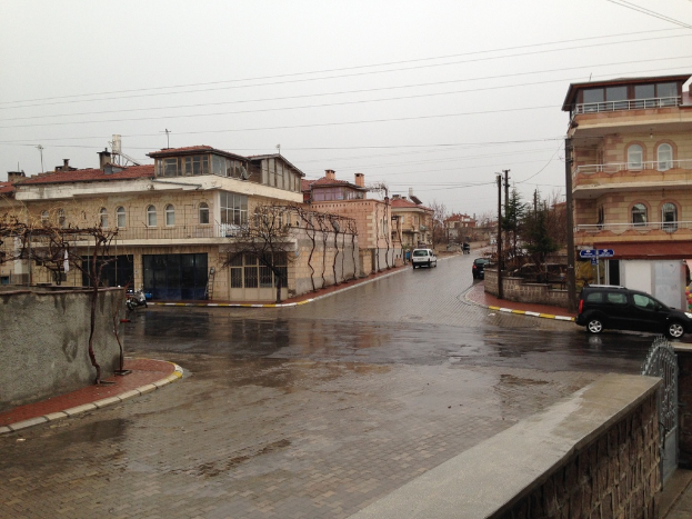 Eine Stadtlandschaft mit Kraftfahrzeugen auf Straßen, Gebäuden, Bäumen, Strommasten mit Kabeln, Geländern und Himmel.
