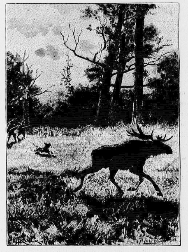 Ein Schwarz-Weiß-Foto eines durch einen bewaldeten Bereich laufenden Mooses mit Bäumen im Hintergrund und Text unten.