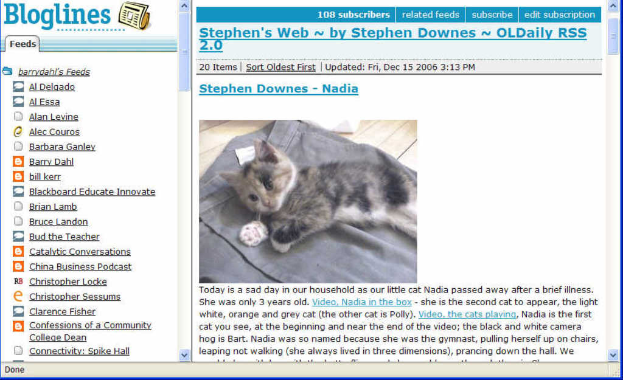 Eine Blogseite mit Text und einer Katze, die auf einem Stück Stoff sitzt.