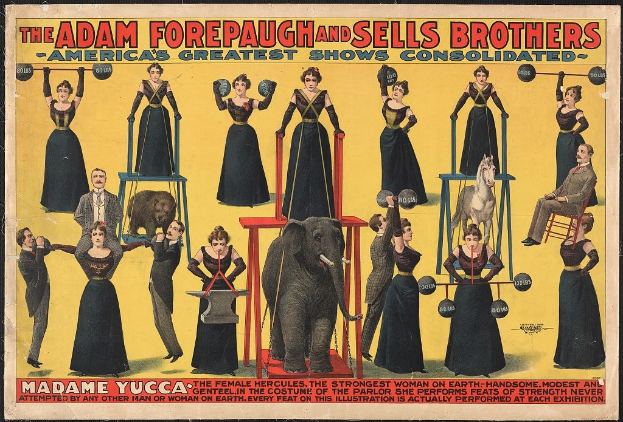 Plakat für Adam Forepaugh und Sells Brothers' America's Greatest Shows Consolidated mit einer Gruppe von Menschen auf Hockern, einem Elefanten in der Mitte und Text.