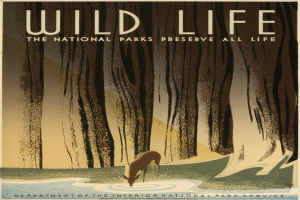 Plakat mit der Aufschrift "Wild Life: Die Nationalparks bewahren alle Leben" mit einem Hirsch, der in Wasser umgeben von Bäumen steht.