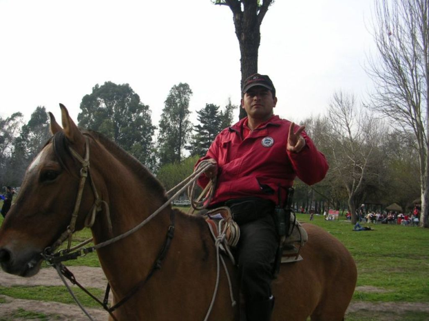 Eine Person, die ein Pferd in einer grasigen Gegend mit Bäumen und anderen Menschen im Hintergrund reitet.