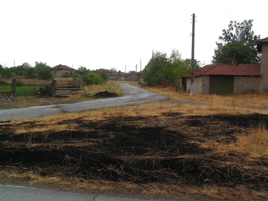Ein Wohngebiet mit Häusern, Bäumen, Pflanzen, trockenem Gras und mehreren Pfählen.