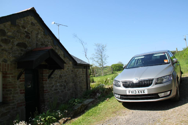 Rechts befindet sich ein Auto, Pflanzen, ein Strommast, Gras und Erde. Links befinden sich Pflanzen, Blumen, Bäume, Zäune, ein Haus und ein Mast unter einem sonnigen Himmel.