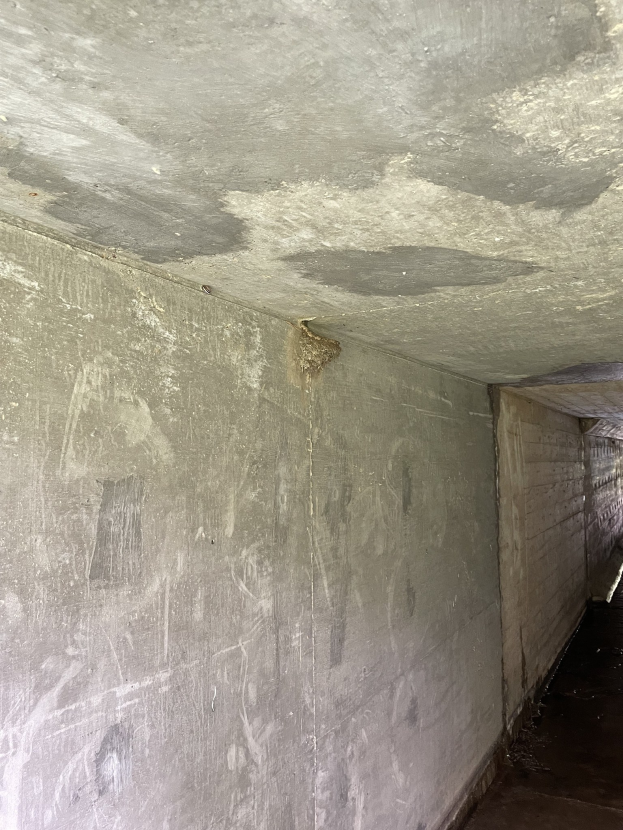 Langer Betonflur mit schimmelbedeckten Wänden und Decke, einige Gegenstände auf der rechten Seite des Bodens verteilt.