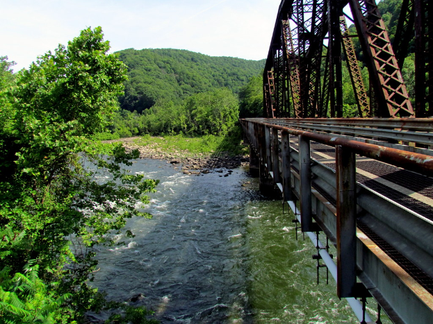 Eine Brücke überspannt einen Fluss mit vielen Bäumen an den Ufern.