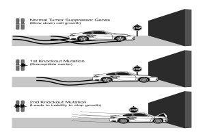 Schwarz-weiß-Diagramm eines Autos, das durch einen Tunnel fährt, mit einem Halteschild im Hintergrund.