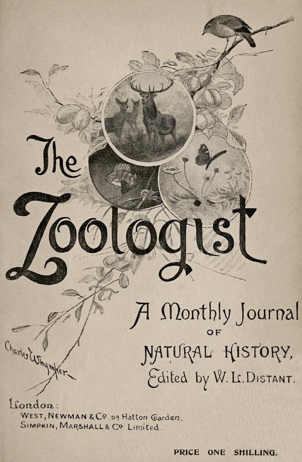 Buchumschlag mit dem Titel 'Der Zoologe: Ein monatliches Journal der Naturgeschichte', der eine realistische Illustration eines Vogels zeigt, der auf einem Reh, einem Kaninchen und einem Fuchs sitzt, mit fetter schwarzer Schrift oben.