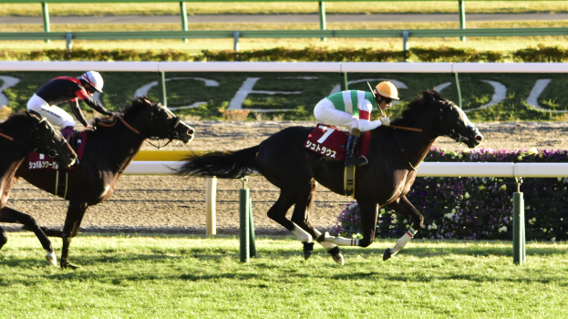 Zwei Jockeys in Helmen rasen auf Pferden eine von Grün umgebenen Bahn entlang, im Hintergrund ist ein Geländer und eine Tafel mit Text zu sehen.