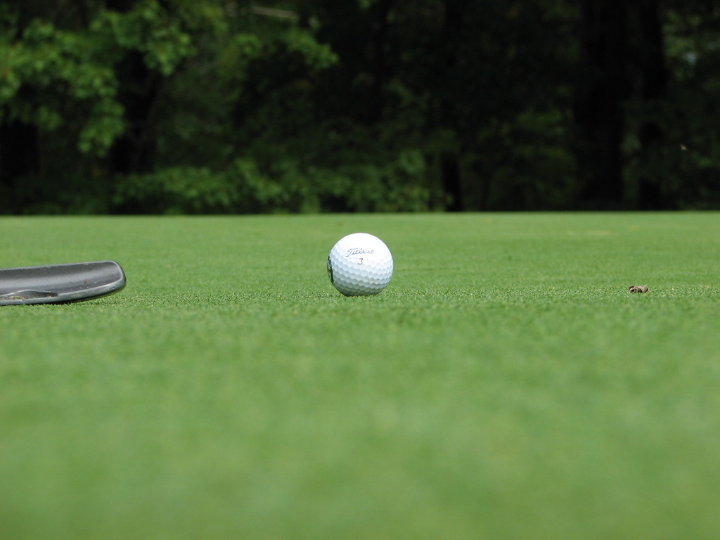 Ein Ball auf einer Rasenfl√§che mit B√§umen und Pflanzen im Hintergrund.