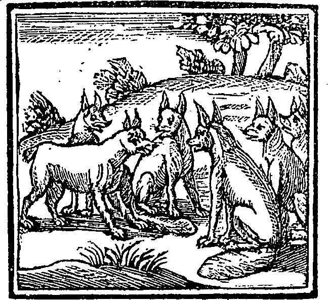 Schwarze und weiße Illustration einer Wolfsrudel in einem bewaldeten Gebiet mit Bäumen und Pflanzen, beschriftet mit "Wolfsrudel" unten.