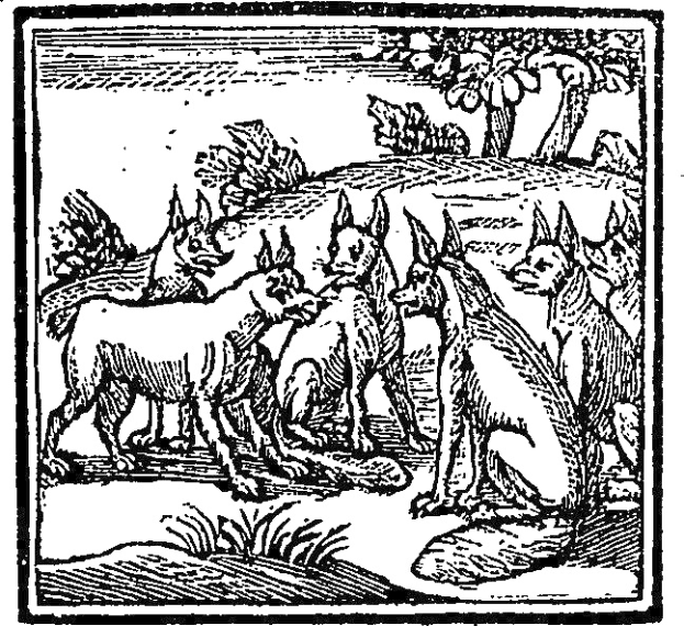 Schwarze und weiße Illustration einer Wolfsrudel in einem bewaldeten Gebiet mit Bäumen und Pflanzen, beschriftet mit "Wolfsrudel" unten.
