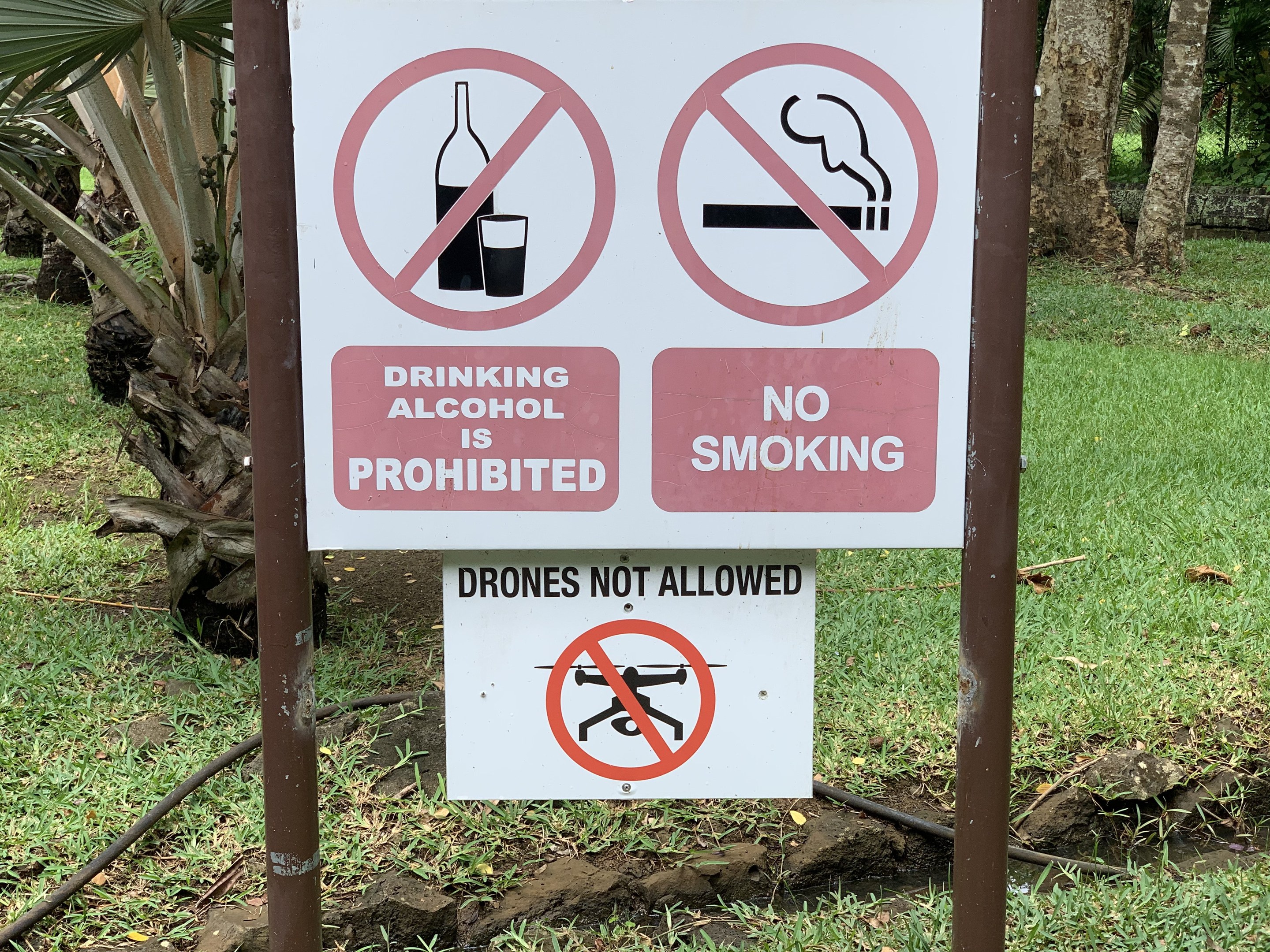Verkehrsschild, das den Alkoholkonsum und das Rauchen verbietet, mit Bäumen und Gras im Hintergrund.