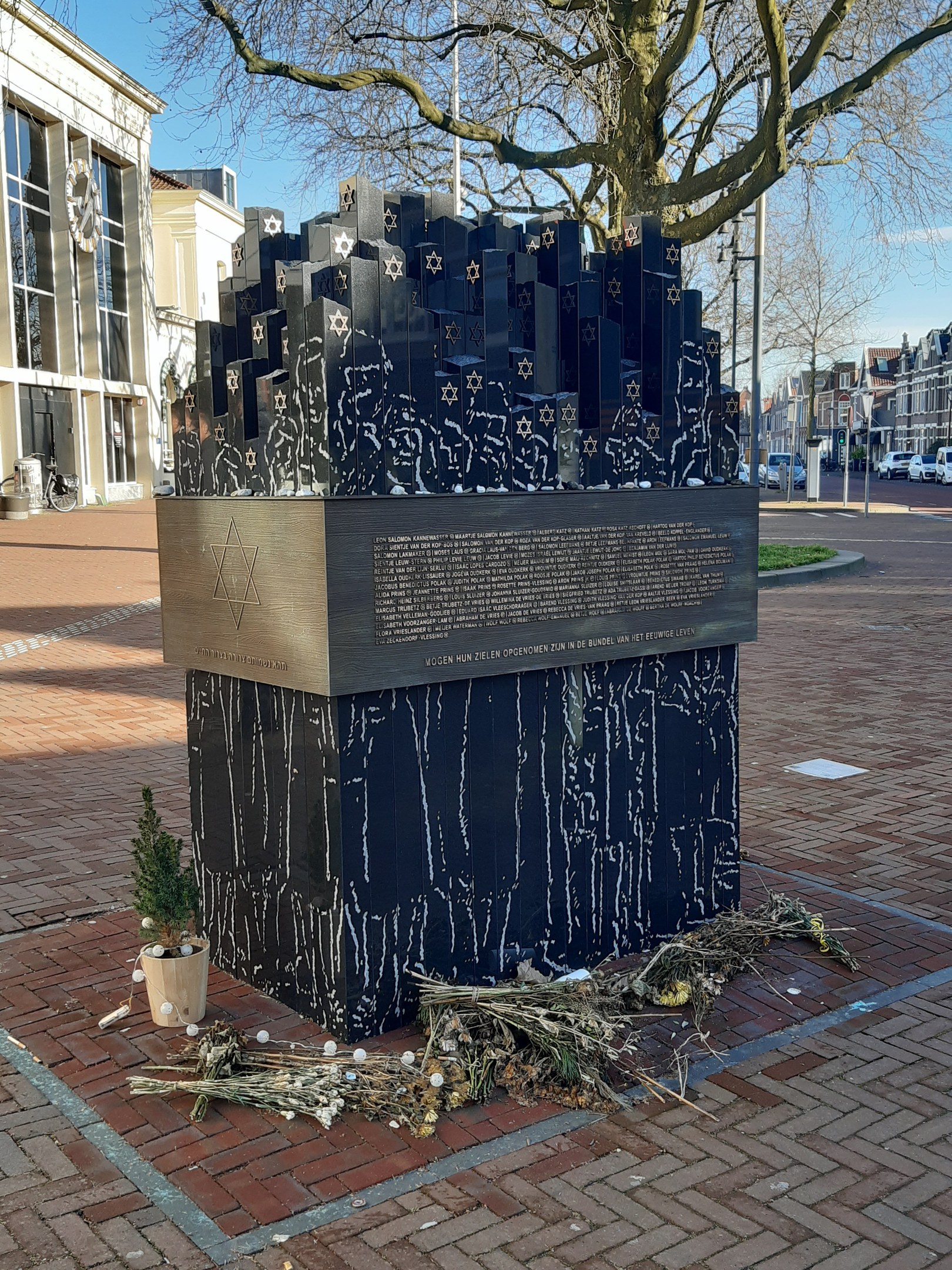 Denkmal in einem Stadtplatz, das Holocaust-Opfern gewidmet ist, mit einem Baum davor, einem Topfgewächshaus auf dem Boden, verstreuten trockenen Blättern und im Hintergrund Gebäude, Fahrzeuge, Mäste und Bäume.