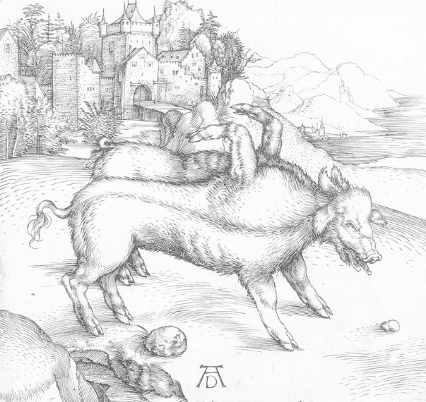 Eine Schwarz-Weiß-Zeichnung von zwei Schweinen in einem Feld mit einem Schloss, Bäumen, Hügeln und einem Gewässer im Hintergrund, mit der Beschriftung "Albrecht Dürer - Die drei Eber" unten.