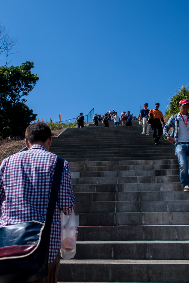 Eine Treppe mit mehreren Menschen, die hinauf- und hinuntergehen, umgeben von ein paar Bäumen.
