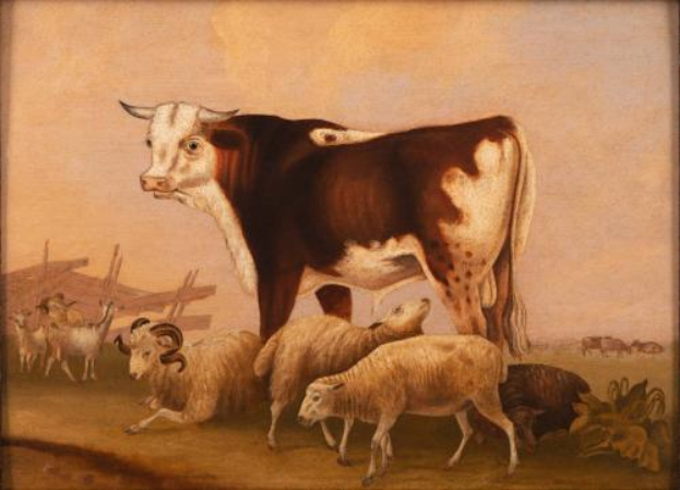 Ein gerahmtes Bild einer Kuh, die mitten in einer Wiese steht und ihren Kopf hochhält, umgeben von grasenden Schafen, grünen Pflanzen und einem hellblauen Himmel.