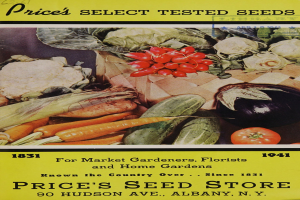 Plakat mit verschiedenen Gemüsen wie Karotten und Tomaten mit dem Text "Price's Select Tested Seeds" oben.