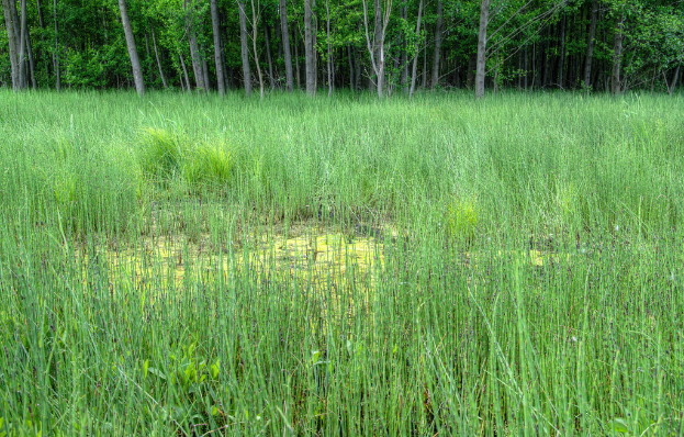 Ein landwirtschaftlicher Hof mit Bäumen im oberen Bildteil.