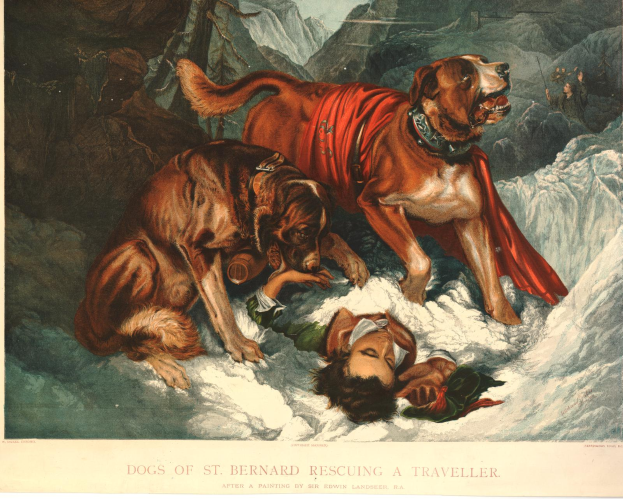 Zwei Bernhardiner-Hunde stehen neben einer Person, die im Schnee liegt, mit Bergen im Hintergrund und Text am unteren Bildrand.