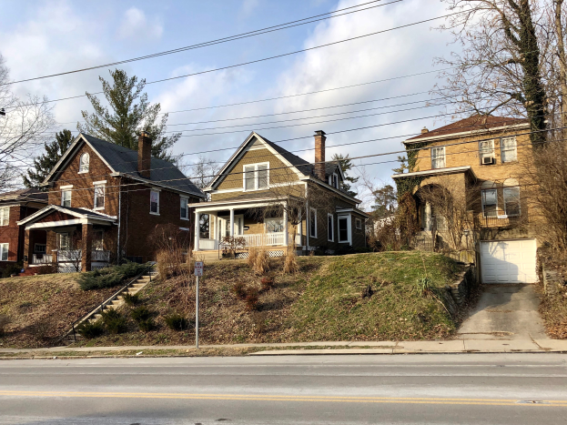 Eine Reihe teurer Häuser mit verschiedenen architektonischen Merkmalen, umgeben von Grün, unter einem bewölkten Himmel in Detroit, Michigan.