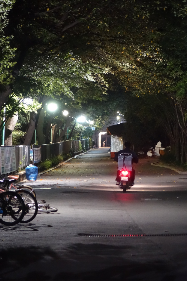 Eine Person, die nachts mit einem Motorrad die Straße entlangfährt, mit Straßenlaternen, die die Szene beleuchten, Bäumen, die die Straße säumen, parkenden Fahrrädern auf der linken Seite und einem Schuppen im Hintergrund.