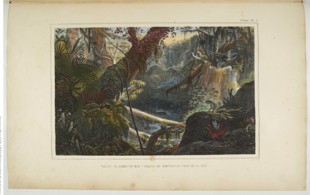 Ein aufgeschlagenes Buch, das ein Gemälde einer üppigen Dschungelszene mit Bäumen, Pflanzen, Felsen und einem Wasserfall zeigt, mit Text unten.