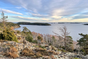 Ein Panoramablick von einem Hügel aus über einen See, mit Bäumen, Pflanzen und Felsen im Vordergrund und einem bewölkten Himmel im Hintergrund.