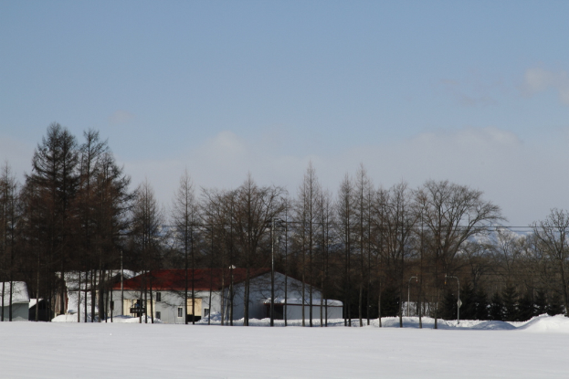 Schneebedeckter Boden mit Bäumen und Gebäuden in der Mitte, unter einem Himmel im Hintergrund.