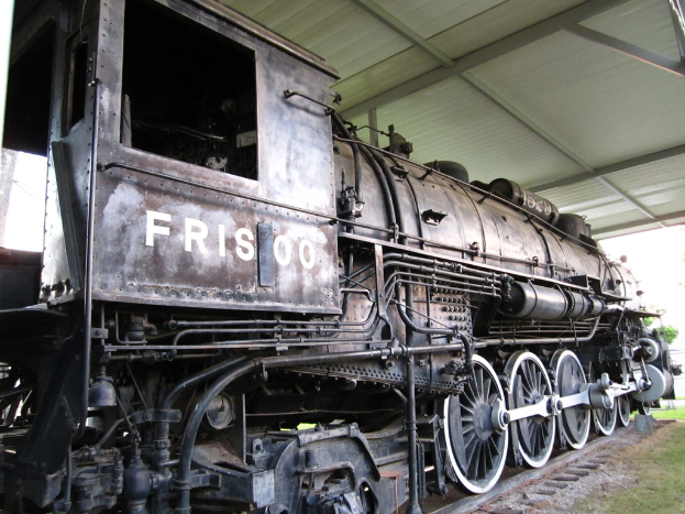 Ein Zug ist in der Mitte auf den Eisenbahnschienen mit Gras darunter und einer Decke mit Pfählen darüber.
