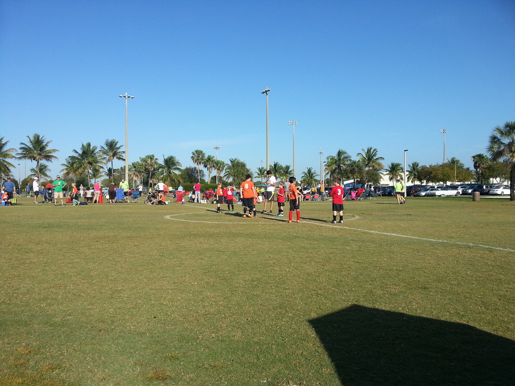 Eine Gruppe von Menschen versammelt sich auf einer grünen Fläche mit Bäumen, Pfählen und Autos im Hintergrund, was eine Spielplatzatmosphäre vermuten lässt.